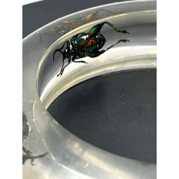 Vintage 1960s Clear Lucite Green Iridescent Beetle Weevil Bangle Bracelet - Picture 12 of 12